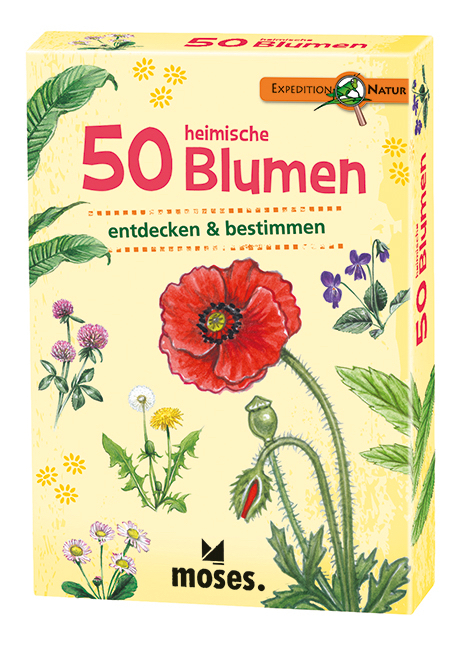 50 heimische Blumen