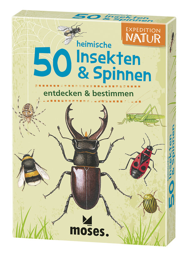 50 heimische Insekten & Spinnen