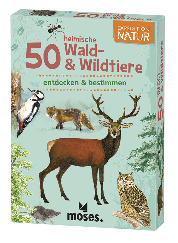 50 heimische Wald- & Wildtiere