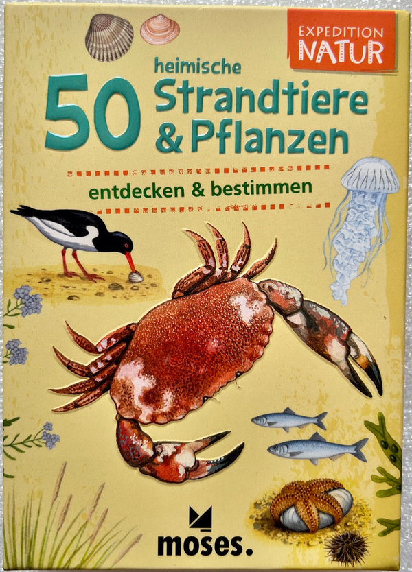 50 heimische Strandtiere & Pflanzen