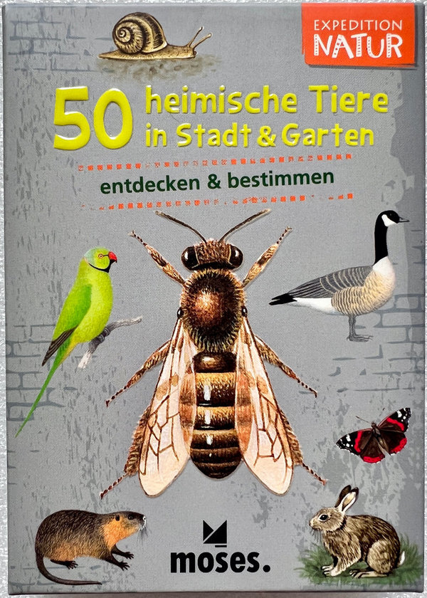 50 heimische Tiere in Stadt & Garten